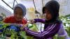 Hari Anak Nasional 2025, Pertamina Gelar Program Community Involvement and Development. (Foto Pertamina)