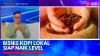 Bisnis Kopi Lokal Siap Naik Level. (Sumber: IDX Channel)