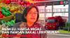 Sri Mulyani: Harga Migas dan Pangan Bakal Lebih Murah. (Sumber: IDX Channel)