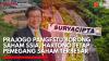 Prajogo Pangestu Borong Saham SSIA, Hartono Tetap Pemegang Saham Terbesar. (Sumber: IDX Channel)
