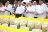 Stabilkan Harga, Pemerintah Salurkan 43 Ribu Ton Beras SPHP Serentak Hari Ini. (Foto: Inews Media Group)