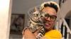 Bikin Melongo, Segini Harga Kucing Uya Kuya yang Raib Dijarah Saat Demo. (Foto: Harga Kucing Uya Kuya)