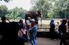 Ragunan Jadi Pilihan Warga Saat Libur Panjang Maulid Nabi