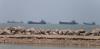 AS Cabut Blokade Angkatan Laut terhadap Iran (FOTO:Dok BBC/Reuters)