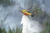 Trump Salahkan Kanada Penyebab Kebakaran Hutan, Bakal Dikenakan Tambahan Biaya Tarif (FOTO:Dok Laman Reuters)