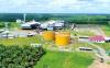 PT Pinago Utama Tbk dengan kode emiten PNGO resmi berganti nama menjadi PT AEP Pinago Plantations Tbk. (Foto: Ist)