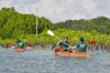 Hari Mangrove Sedunia 2026, Bank BSN Dorong Pelestarian Ekosistem Pesisir