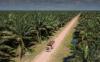 PT Bakrie Sumatera Plantations Tbk (UNSP) meraup penjualan Rp1,28 triliun pada semester I-2026, meningkat 12 persen. (Foto: Ist)