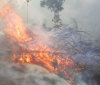 Kawasan Gunung Rinjani Terbakar Seluas 30 Hektare, Tidak Ada Korban Jiwa. (Foto: BNPB)