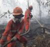 12.880 Personel Dikerahkan Tangani Karhutla di Kalimantan (FOTO:Dok Ist)