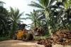 BWPT Buka Suara soal Kisruh Potensi Kerugian Rp11 Triliun FELDA Malaysia. (Foto: Eagle High)