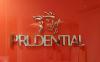Prudential Indonesia menorehkan kinerja positif sepanjang paruh pertama tahun ini dengan membukukan premi Rp12,2 triliun. (Foto: Ist)