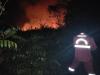 Kemenhut Terkendala Aksesibilitas dan Pasokan Air saat Padamkan Karhutla di Kalimantan. (Foto: Dok. Kemenhut)