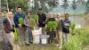 Hilirisasi Batu Bara untuk Pertanian, PTBA dan UGM Uji Coba Pupuk Kalium Humat di Sawahlunto. Foto: PTBA.