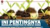 Ini Pentingnya Manajer Investasi Di Reksa Dana
