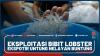 Eksploitasi Bibit Lobster, Ekspotir Untung Nelayan Buntung â€“ Market Review Part 2