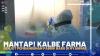 Kalbe Farma Genjot Pembangunan Pabrik Baru di Myanmar