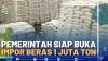 Pemerintah Siap Buka Impor Beras 1 Juta Ton