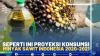 Seperti Ini Proyeksi Konsumsi Minyak Sawit Indonesia 2020-2021