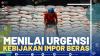 Menilai Urgensi Kebijakan Impor Beras