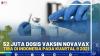 52 Juta Dosis Vaksin Novavax Tiba di Indonesia pada Kuartal II 2021Â Â 