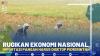 Rugikan Ekonomi Nasional, Importasi Pangan Harus Disetop Pemerintah