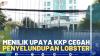 Menilik Upaya KKP Cegah Penyelundupan Lobster