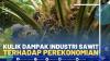 Kulik Dampak Industri Sawit Terhadap Perekonomian