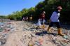 Puluhan Mahasiswa Bebaskan Mangrove dari Jeratan Sampah Plastik