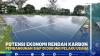 Potensi Ekonomi Rendah Karbon, Pembangunan Siap di Dukung Pelaku Usaha