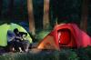 Lepas Jaringan Internet, Camping Bisa Jadi Alternatif Liburan Selama Belajar Daring