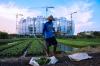 Kebutuhan Pangan Meningkat, Lahan Pertanian Malah Tergususr Proyek Investasi dan Infrastruktur. (Foto MNC Media)