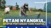 Petani Nyangkul, Ekspor Pertanian yang Mantul!