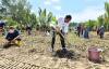 Antisipasi Perubahan Iklim, Presiden Jokowi Bersama Masyarakat Tanam Mangrove di Cilacap