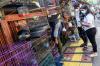 Berburu Hewan Peliharaan di Pasar Barito