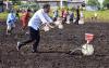 Kunjungi Sorong, Presiden Jokowi Akan Tanam Jagung hingga Tinjau Vaksinasi Covid-19