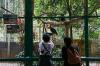 Taman Margasatwa Ragunan Kembali Dibuka, Anak Dibawah 12 Tahun Boleh Masuk