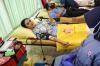 Melihat Aksi Donor Darah Krisdayanti di HUT ke-50 Korpri