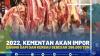 2022, Kementan Akan Impor Daging Sapi dan Kerbau Sebesar 266.000 Ton
