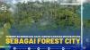 Pemerintah Berencana Akan Jadikan Kawasan IKN Nusantara Sebagai Forest City