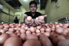 Bawang Putih hingga Telur Ayam Aman Meski Harga Merangkak Naik Jelang Bulan Puasa
