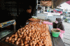 Harga Telur Ayam Ras Tembus Rp28.000 per Kilogram