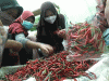 Harga Cabai Merah Keriting di Bekasi Tembus Rp80 Ribu per Kilogram