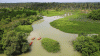 Edu-ekowisata Mangrove Atasi Migitasi dan Adaptasi Perubahan Iklim