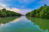 Hutan Mangrove Wisata Desa Ambulu Sajikan Berbagai Keindahan Laut