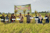 Gelar FFD Program CSA Kementan, Petani Pinrang Optimis Tingkatkan Produktivitas
