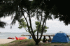 Menikmati Keindahan Wisata Pantai Sakura di Kepulauan Seribu