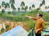 Tinjau Pembangunan Istana Presiden di IKN, Presiden Jokowi: 2024 Upacara di Sini