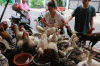 Jelang Lebaran, Penjualan Ayam Kampung Meningkat