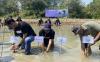 Hari Konservasi Alam, Amartha-Jejakin Tanam 1.000 Bibit Mangrove d Pesisir Pantai Morodemak